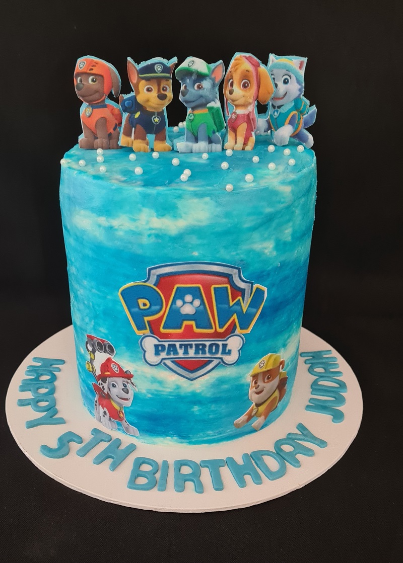 Paw patrol theme birthday cake