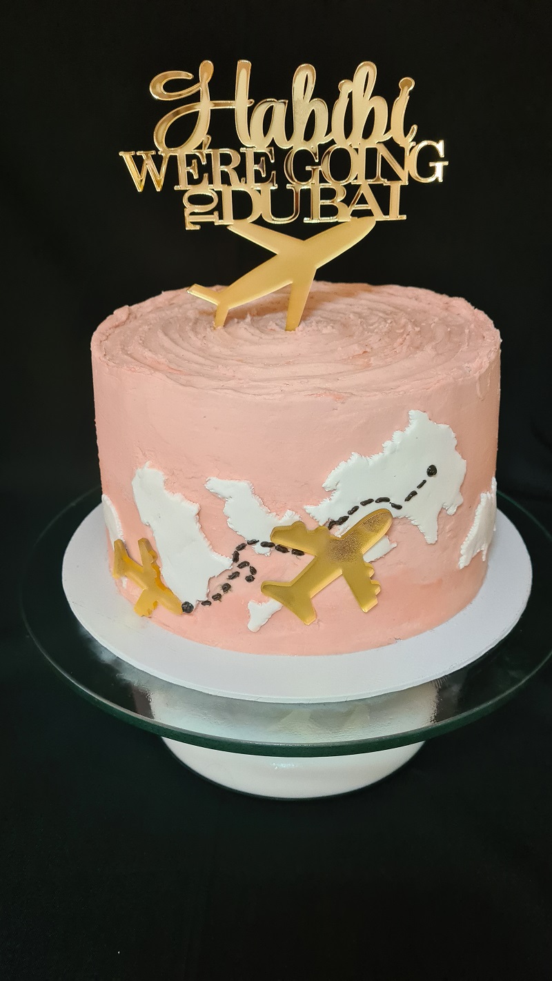 Travel celebration cake
